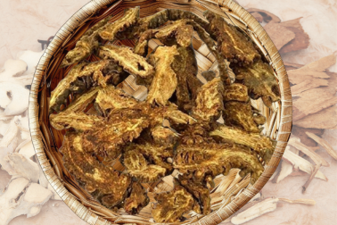Khương hoạt_1