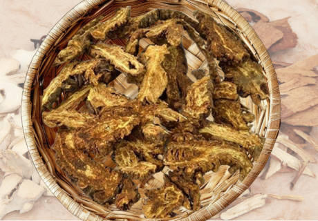 Khương hoạt_1