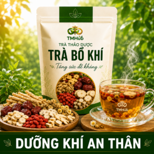 BỔ KHÍ – TĂNG SỨC ĐỀ KHÁNG