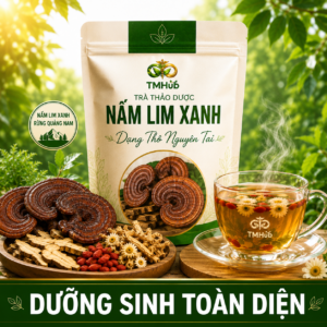 NẤM LIM XANH RỪNG QUẢNG NAM